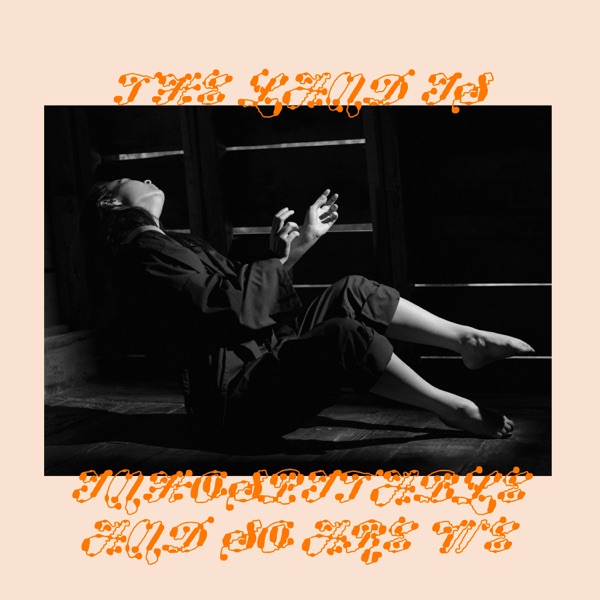 Mitski — My Love Mine All Mine