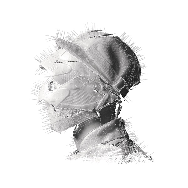 Woodkid — Run Boy Run